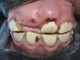 odontologia-equina-veterinario-caballos-jro-05